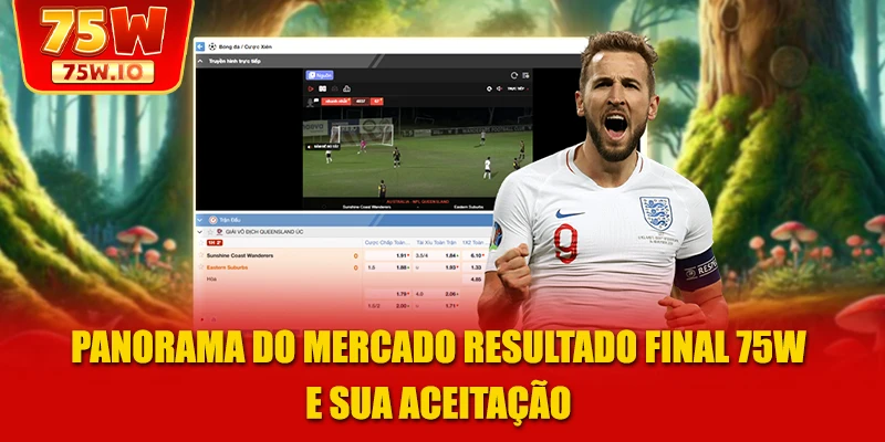 Panorama do mercado Resultado Final 75W e sua aceitação