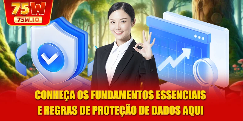 Conheça os fundamentos essenciais e regras de proteção de dados aqui