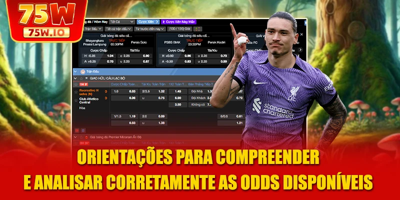 Orientações para compreender e analisar corretamente as odds disponíveis